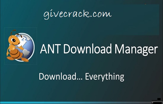 Ant Download Manager Crack (1)