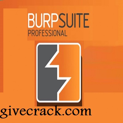Burp Suite Professional Crack